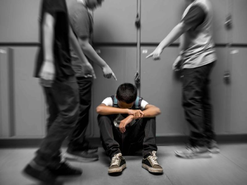 Акыйкатчы мектеп окуучуларынын коопсуздугун камсыздоодо биргелешкен чараларды көрүүгө чакырды