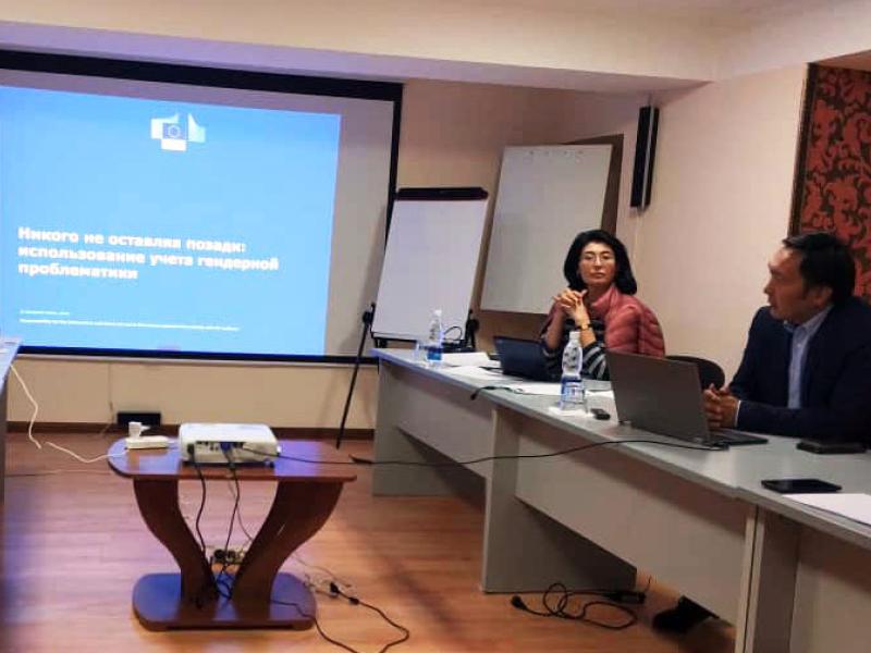 Акыйкатчы аппаратынын жетекчисинин милдетин аткаруучу жана Адам укуктары боюнча Дания институту (ДИПЧ) 