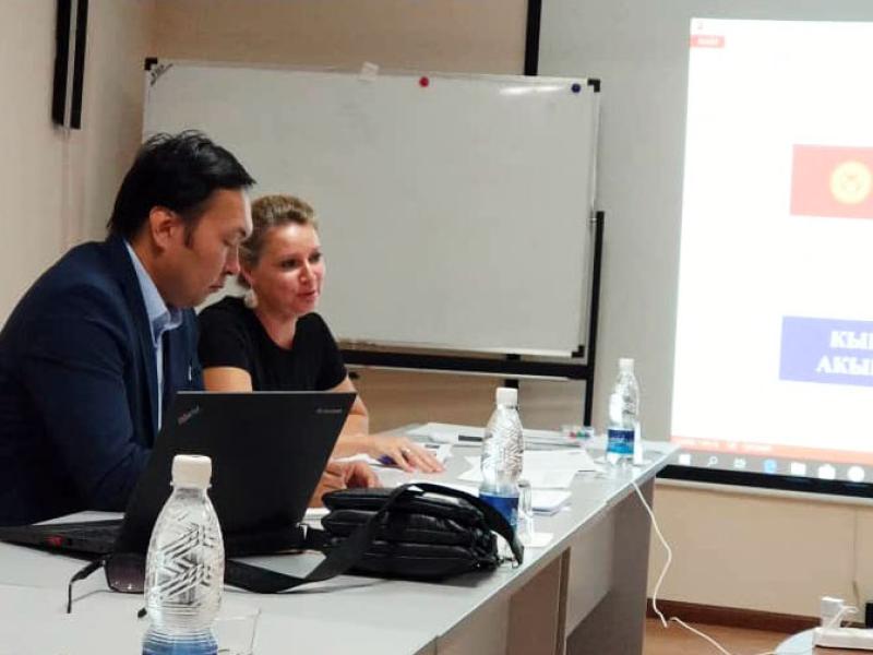 Акыйкатчы аппаратынын жетекчисинин милдетин аткаруучу жана Адам укуктары боюнча Дания институту (ДИПЧ) 