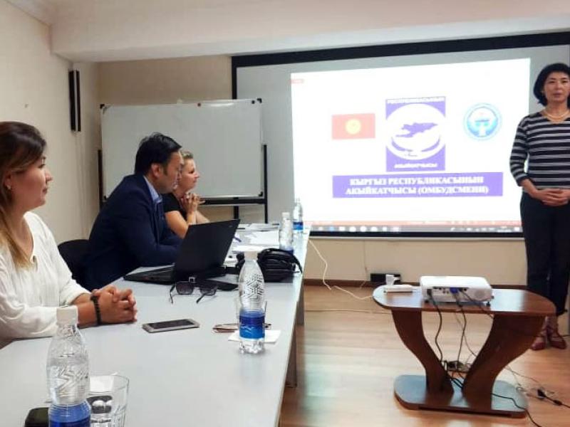 Акыйкатчы аппаратынын жетекчисинин милдетин аткаруучу жана Адам укуктары боюнча Дания институту (ДИПЧ) 