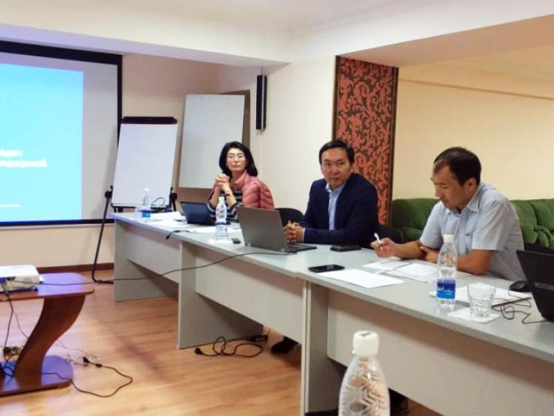 Акыйкатчы аппаратынын жетекчисинин милдетин аткаруучу жана Адам укуктары боюнча Дания институту (ДИПЧ) 