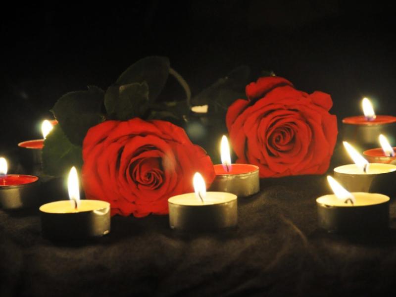 Акыйкатчы авиакырсыкка байланыштуу россиялык кесиптештерине көңүл айтты