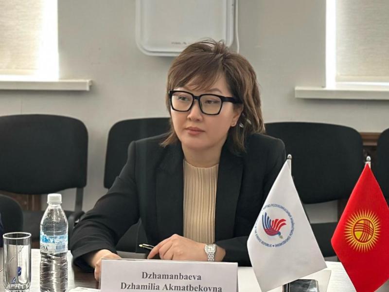 Акыйкатчы жарандардын эмгекке болгон укуктарынын так сакталышын көзөмөлдөөгө чакырды 