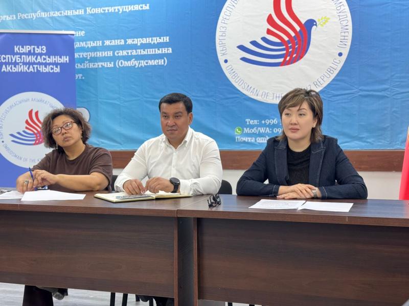 Акыйкатчы Институту өз аппаратынын дараметин баалоодон өткөрүүдө